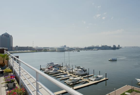 the view of the harbor from the deck of a marina with boats docked at Tindeco Wharf, Baltimore, MD