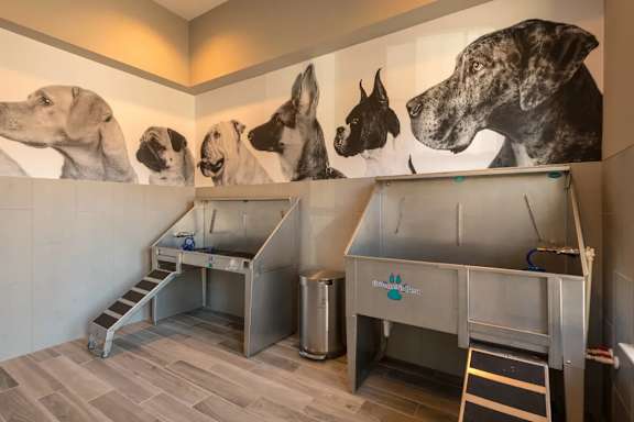 Pet Spa and Washing station at The Aster Cary, North Carolina, 27519