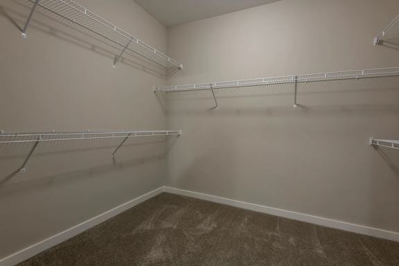 Empty walk-in closet with shelves and carpeted floor.at The Aster Cary, North Carolina