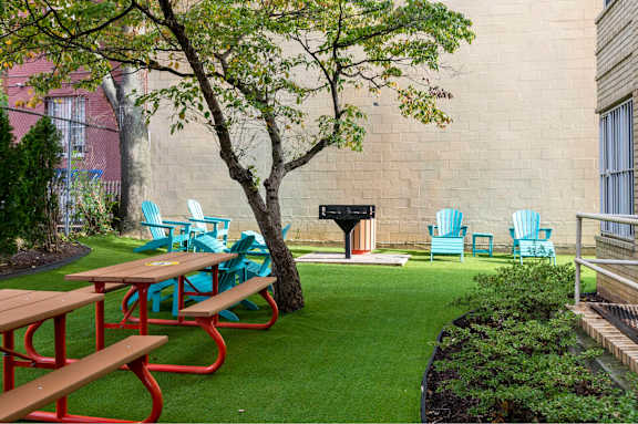A tree in a yard with blue chairs and picnic tables.
