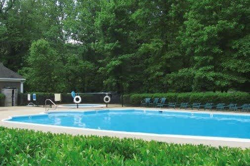 A pool surrounded by greenery and trees.