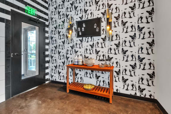 Dog Care at South and Hollis, Charlotte, NC, 28209