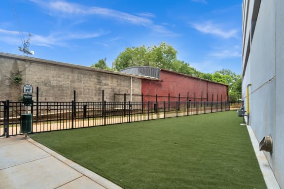 Dog Park at South and Hollis, Charlotte