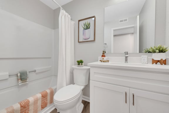 our apartments offer a bathroom with a bathtub at Brampton Moors, Cary, North Carolina