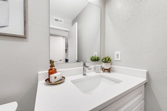 a bathroom with a sink and a mirror at Brampton Moors, North Carolina