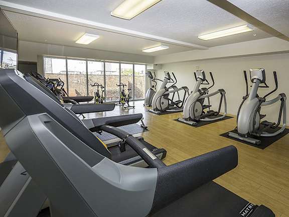 A gym with treadmills, exercise bikes and elliptical machines.