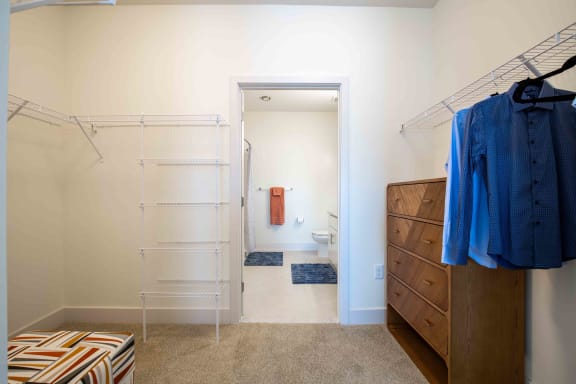 Walk in Closet at Woodmore Grand Apartments in Bowie, MD 20721