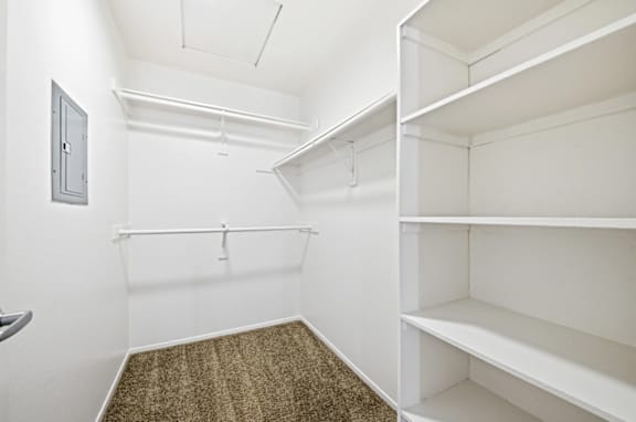 A white closet with shelves and a carpeted floor.