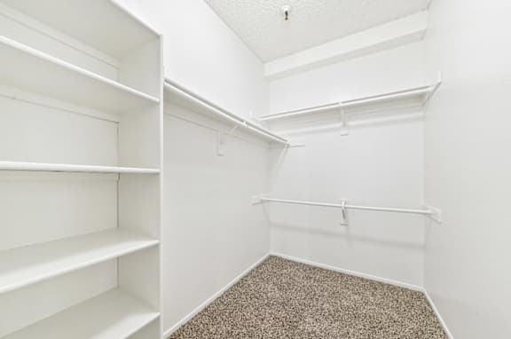 A white closet with shelves and a carpeted floor.