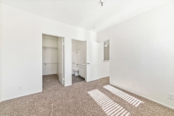 A room with a carpet and a toilet.