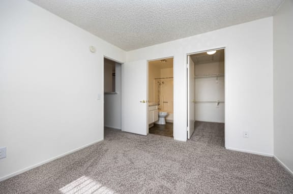 A room with a carpeted floor and a toilet in the corner.