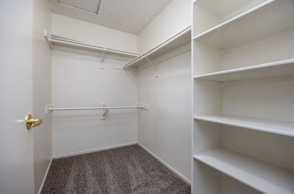 A white closet with shelves and a door.