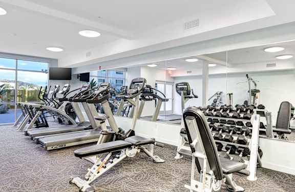 A gym with treadmills, weight machines, and dumbbells.