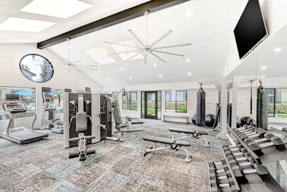 A gym with a variety of equipment including treadmills, weights, and a television.