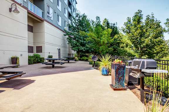 a large patio with picnic tables and bbq grills