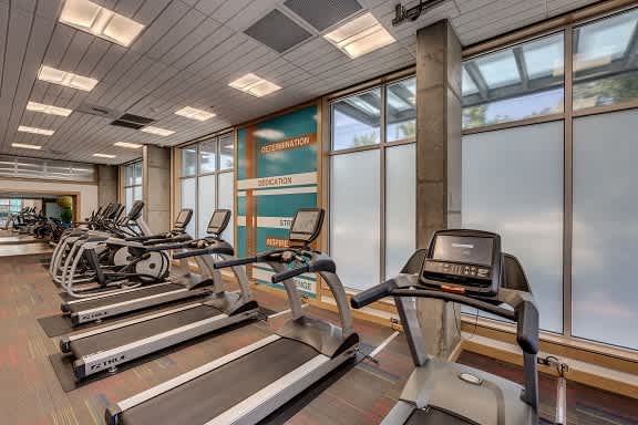 A gym with treadmills and elliptical machines.