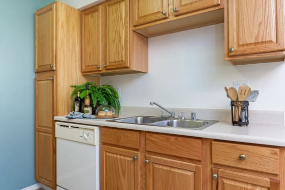 a kitchen with wooden cabinets and a sink and a dishwasher
