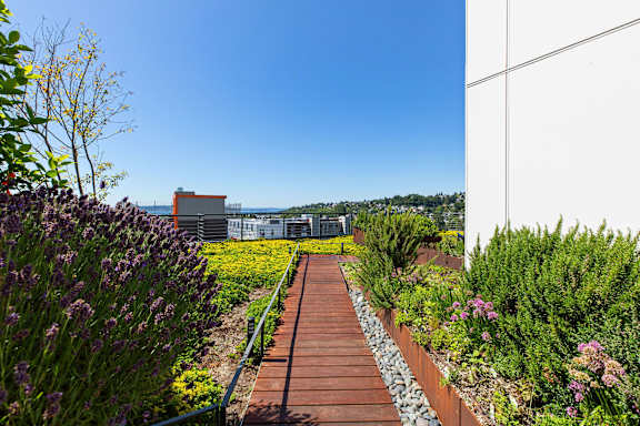 Walkway in the Garden at Axle, Seattle