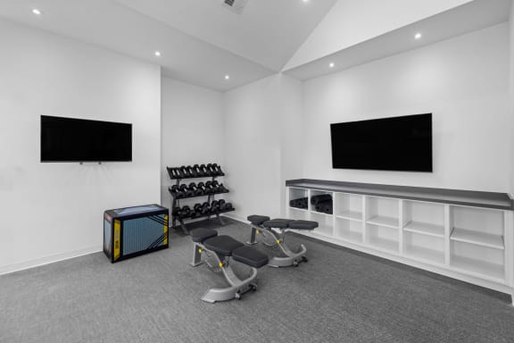 the gym with weights and a tv on the wall