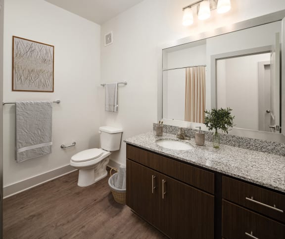 a bathroom with a toilet and a sink and a mirror