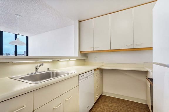 a kitchen with a sink a dishwasher and a window