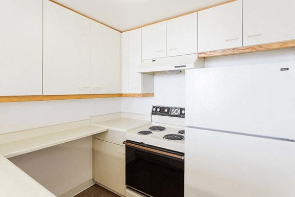 a kitchen with a stove and a refrigerator