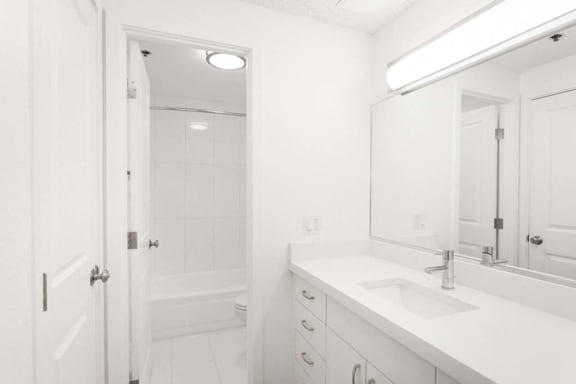 a bathroom with a sink a mirror and a toilet