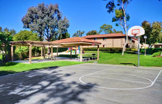 basketball court  at Softwind Point, Vista