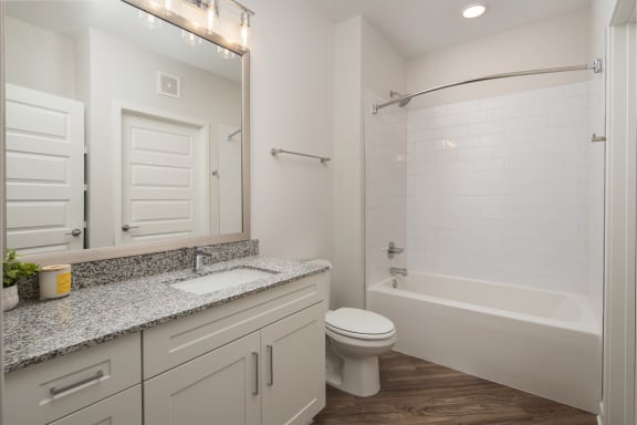 a bathroom with a shower toilet and sink and a mirror