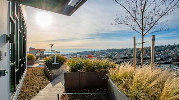 A sunny day on a rooftop terrace with a view of the city.at Axle, Washington