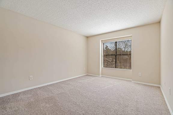 A room with a window and a carpeted floor.