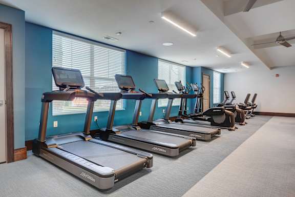 A row of treadmills are lined up in a gym.