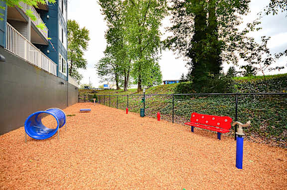 Dog Park  at Harrington Square, Renton, Washington