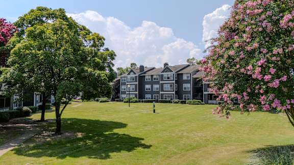 A tree with pink flowers is in the foreground of a grassy area with a building in the background.