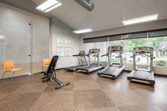 A gym with treadmills, a stationary bike, and a rowing machine.