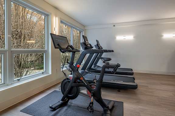 A row of stationary bikes are lined up in a sunny room.