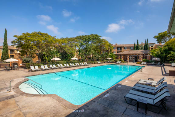 the swimming pool at the resort