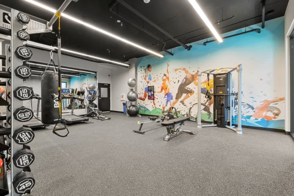 a large fitness room with a mural on the wall at Ion Town Center, Washington, 98133