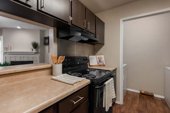 A kitchen with a black stove top oven and a counter top with a plant on it.
