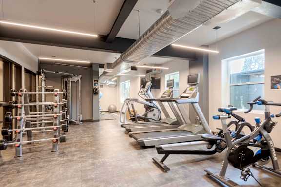 A gym with treadmills, exercise bikes, and weight racks.