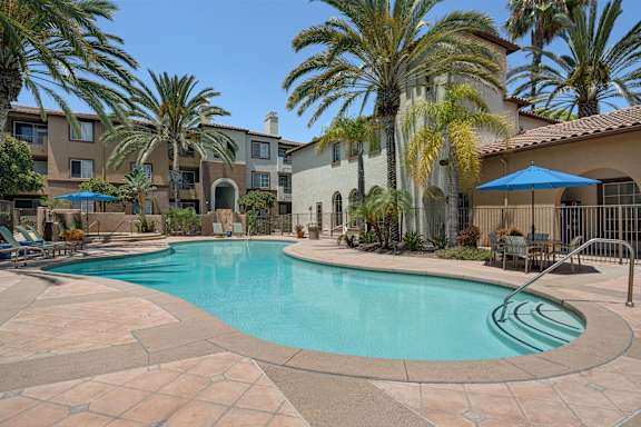 A swimming pool surrounded by palm trees and a building in the background.