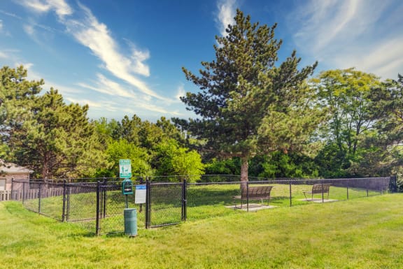 Dog park