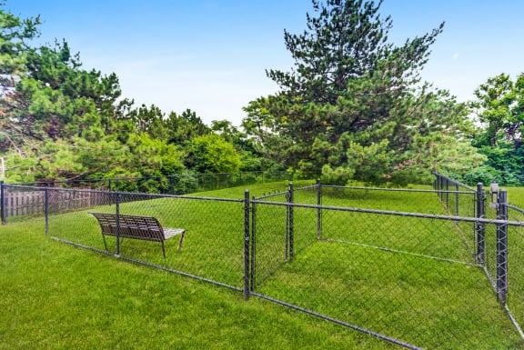 Dog Park