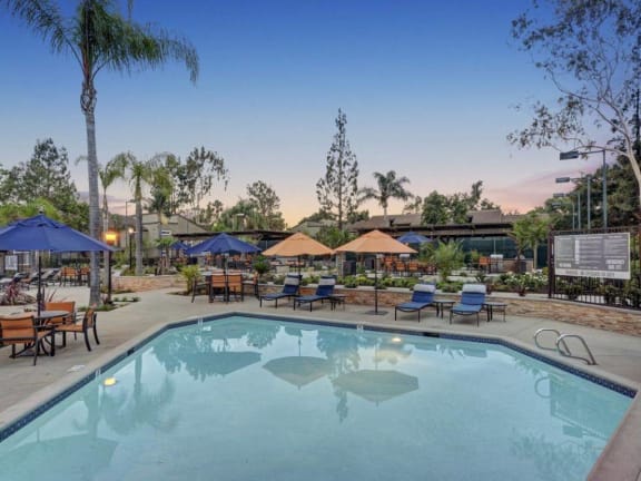 New Pool and Spa areas with a Resort Style Experience, at Park Pointe, 2450 Hilton Head Place