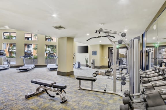 A gym with a variety of equipment including treadmills, weights, and a bench press.