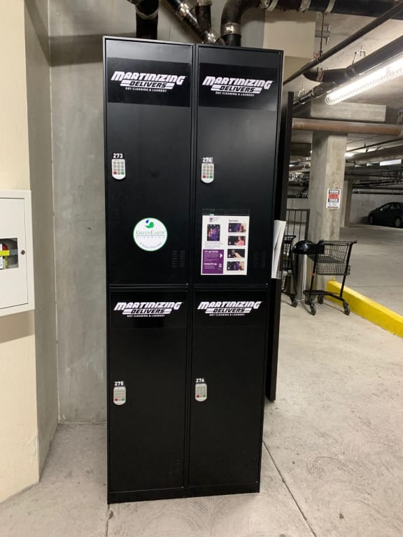 Dry cleaning lockers