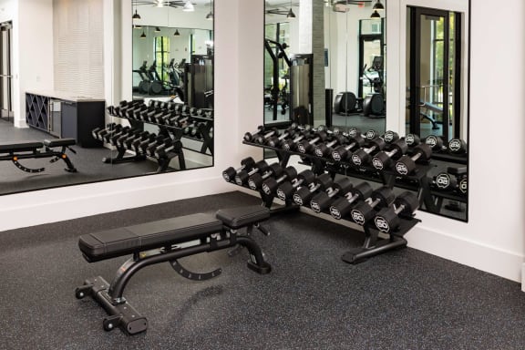 a gym with weights and mirrors in the wall