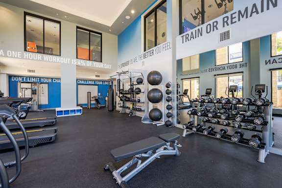 A gym with a variety of equipment including treadmills, weights, and exercise machines.