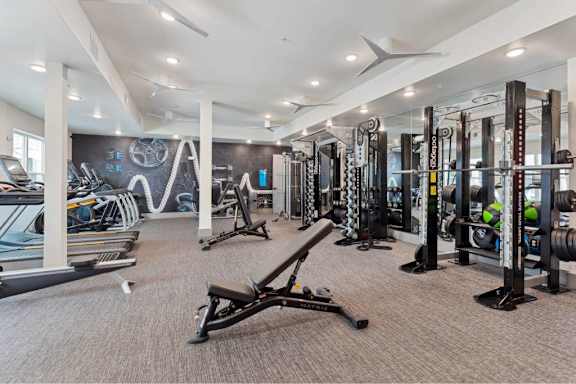A gym with a variety of equipment including treadmills, weights, and exercise machines.
