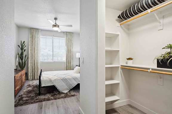 A bedroom with a bed, a ceiling fan, and a shelf with plants.